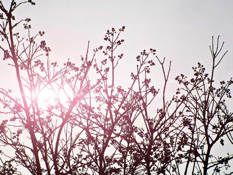 sudoku senior friendly screenshot 3