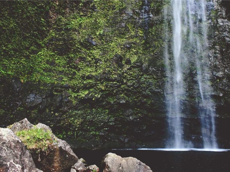 sudoku senior friendly screenshot 4